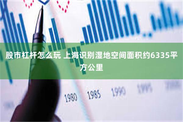 股市杠杆怎么玩 上海识别湿地空间面积约6335平方公里