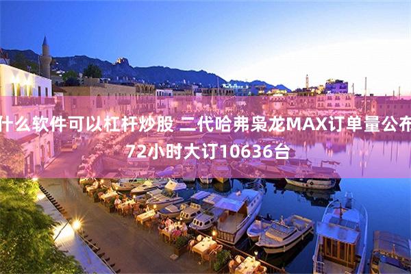 什么软件可以杠杆炒股 二代哈弗枭龙MAX订单量公布 72小时大订10636台