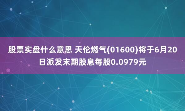 股票实盘什么意思 天伦燃气(01600)将于6月20日派发末期股息每股0.0979元