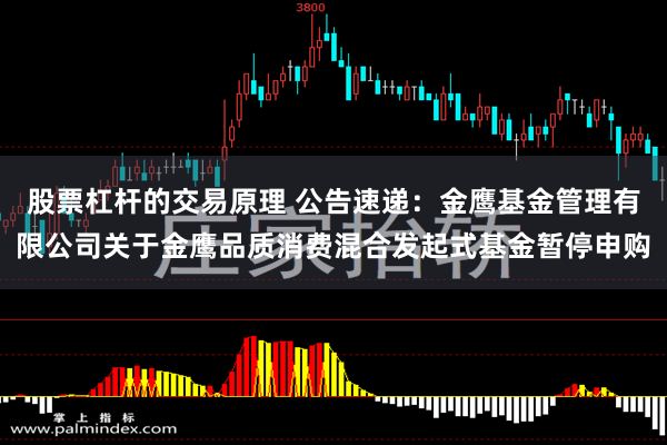 股票杠杆的交易原理 公告速递：金鹰基金管理有限公司关于金鹰品质消费混合发起式基金暂停申购