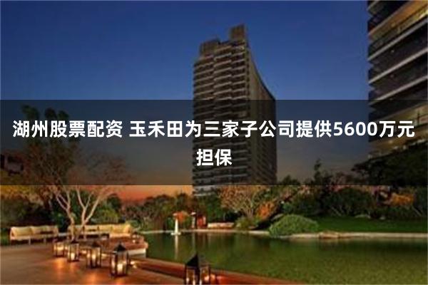 湖州股票配资 玉禾田为三家子公司提供5600万元担保
