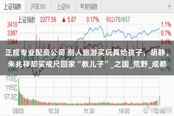 正规专业配资公司 别人旅游买玩具给孩子，胡静、朱兆祥却买戒尺回家“教儿子”_之国_荒野_成都
