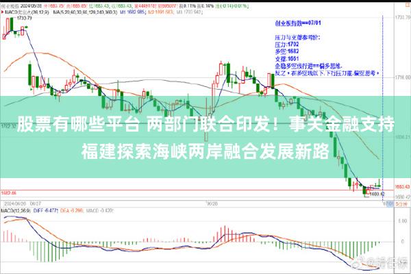 股票有哪些平台 两部门联合印发！事关金融支持福建探索海峡两岸融合发展新路