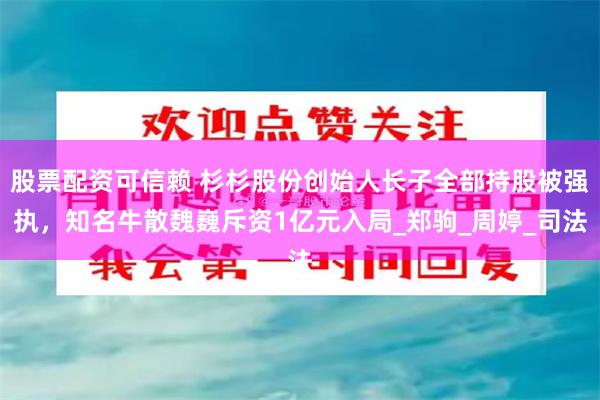股票配资可信赖 杉杉股份创始人长子全部持股被强执，知名牛散魏巍斥资1亿元入局_郑驹_周婷_司法